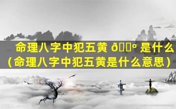 命理八字中犯五黄 🐺 是什么（命理八字中犯五黄是什么意思）